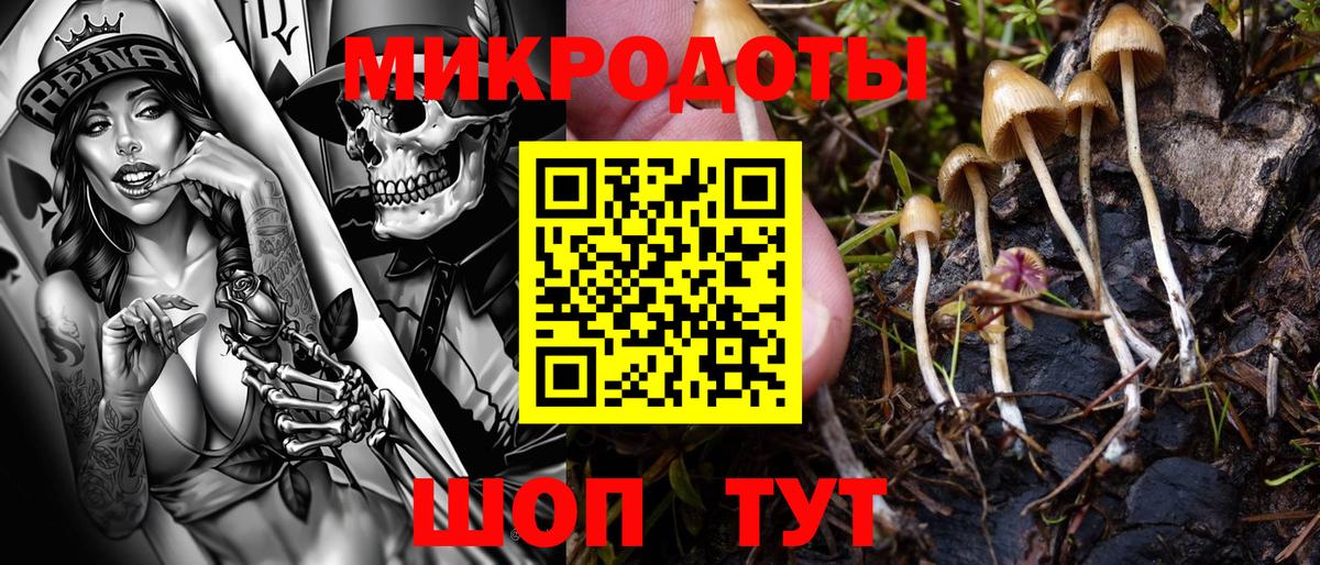 Галлюциногенные грибы прущие грибы Дмитров